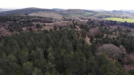 vista aérea sobre el bosque de woodbury en el este de devon