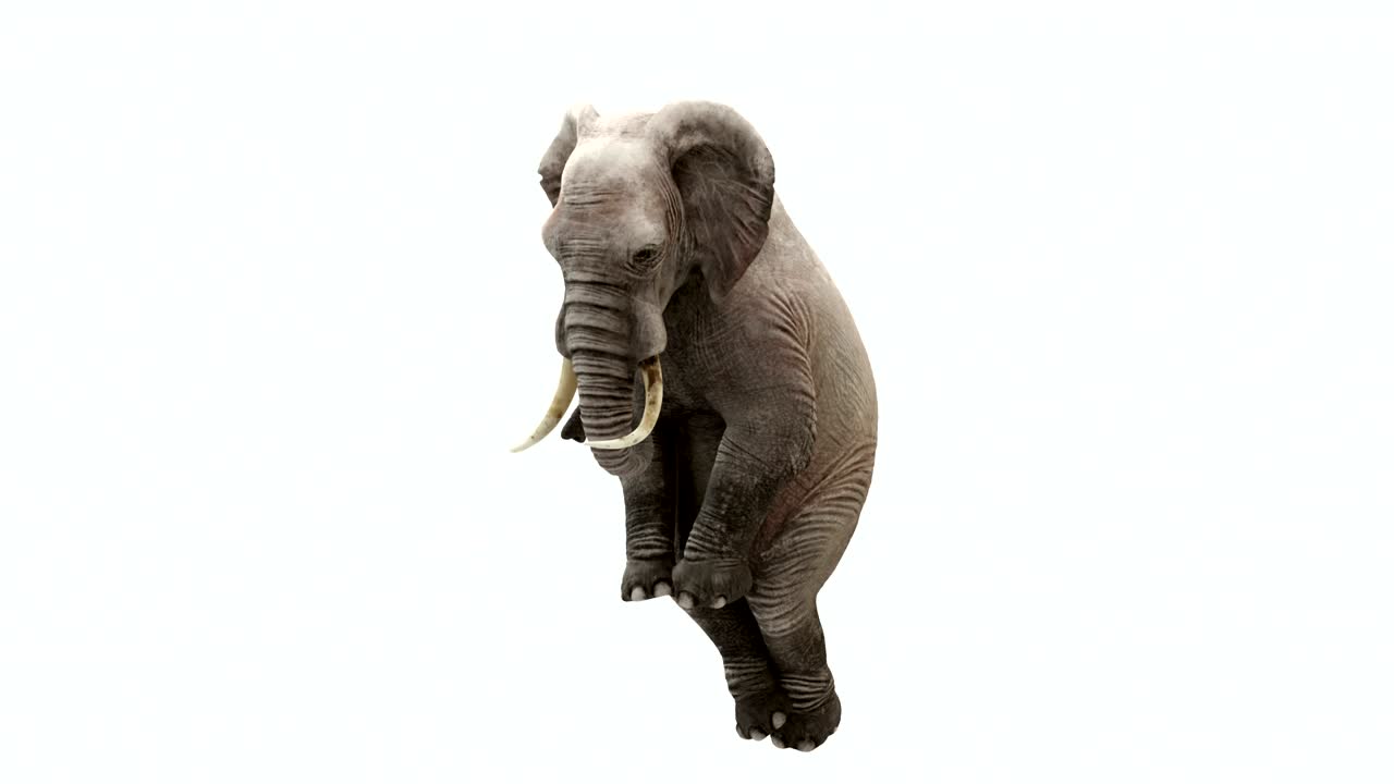 날아다니는 코끼리의 cg 렌더링. 루프 애니메이션.