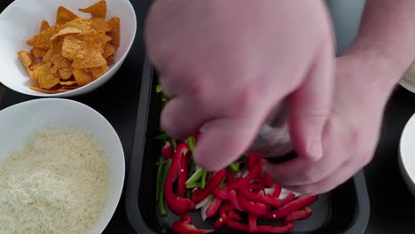 seasoning chopped chicken breast with onion, pepper and chips on the side - high angle shot, close up