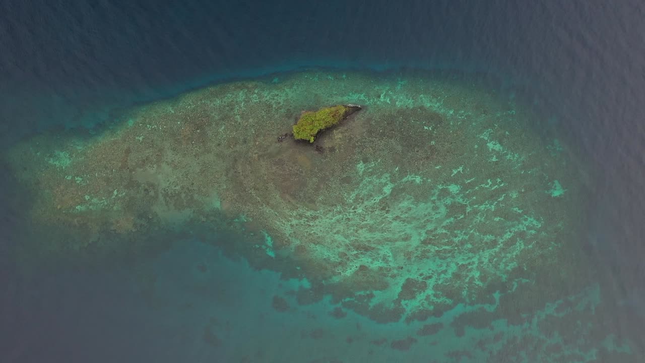 무성한 녹색 정글로 가득한 작은 섬 위로 공중 촬영