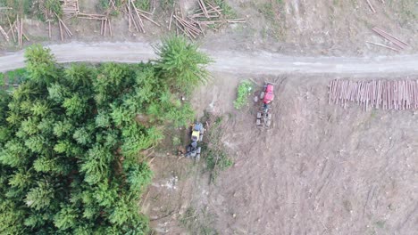 top down view of heavy machines and deforestation in pine tree forest - drone shot