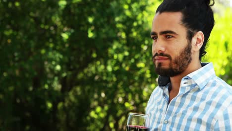 hombre tomando un vaso de vino en el parque 4k