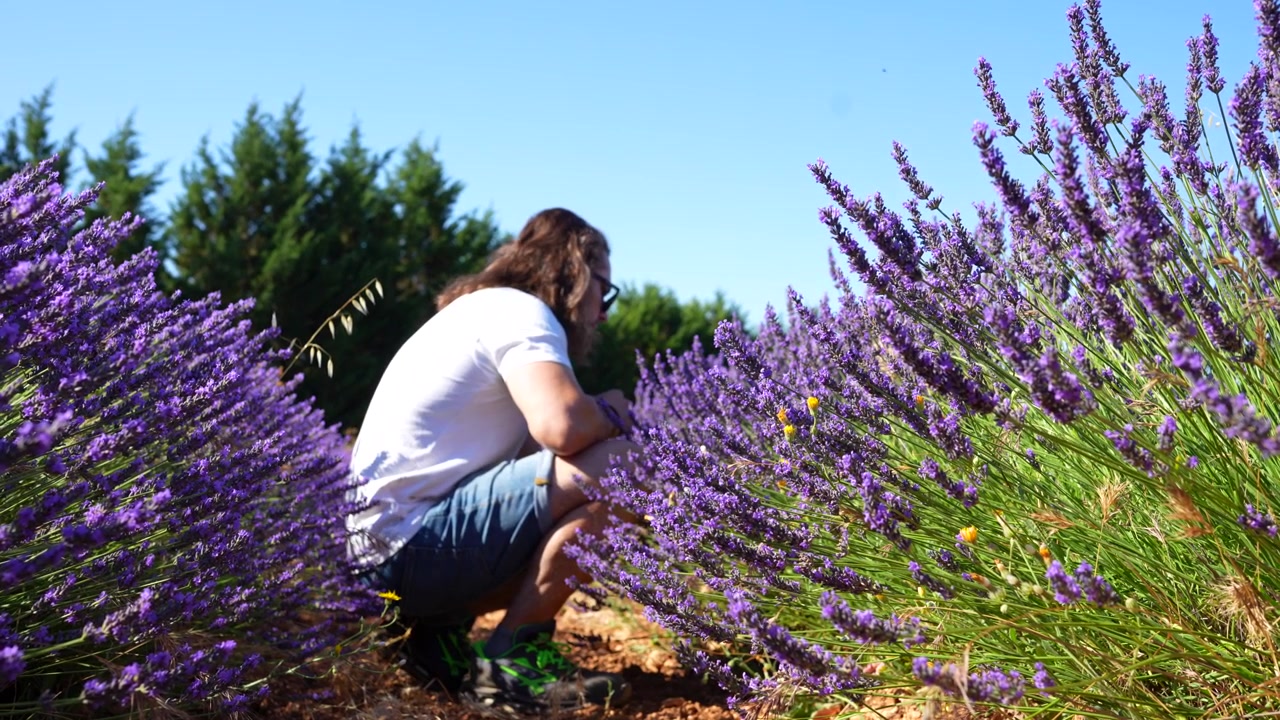 Giovane uomo accovacciato in un bellissimo campo di lavanda che osserva le api volare intorno ai fiori viola.