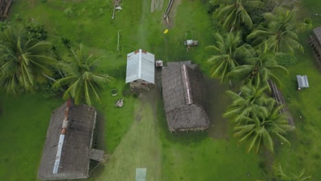 bird’s eye view ascending shot, huts and palm trees, green grassland in the background in kanganaman village, sepik region, papua new guinea