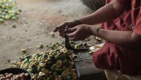 Mujer-Pelando-Conchas-De-Nueces-De-Areca-En-Una-Herramienta-De-Metal,-Cerca-De-Las-Manos