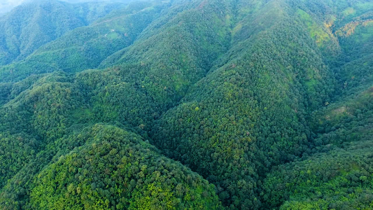 vista aérea de la montaña y el bosque.