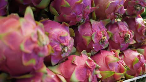 dragon fruit display