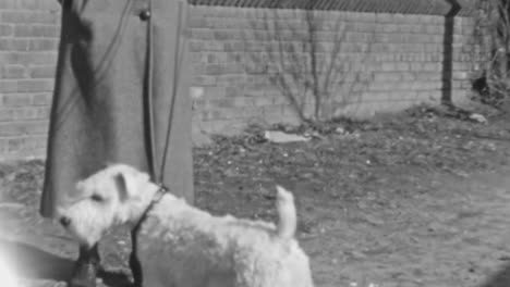 mujer con alambre zorro terrier perro al aire libre
