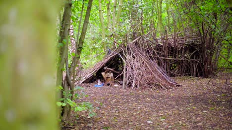 refugio de madera hecho de ramas y hojas en un bosque verde