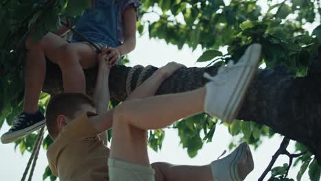 Niños-Felices-Pasando-Tiempo-En-El-árbol-En-El-Día-De-Verano.