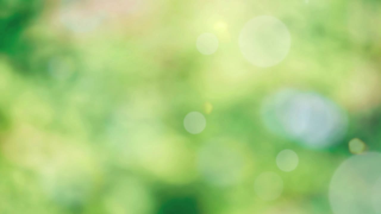 Abstract spring background with bokeh