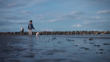 4k outdoor seaside child and dog walking in water