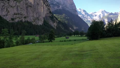 Hiker-walking-a-trail-amid-green-alpine-meadows-and-alps-mountains-in-Lauterbrunnen,-Switzerland