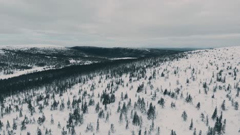 Volando-Sobre-Un-Bosque-En-Las-Montañas-Suecas-En-Un-Frío-Día-De-Invierno