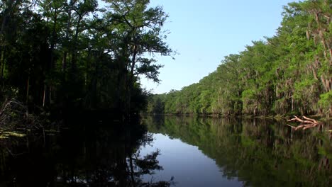 POV-from-a-boat-through-the-Florida-Everglades-4