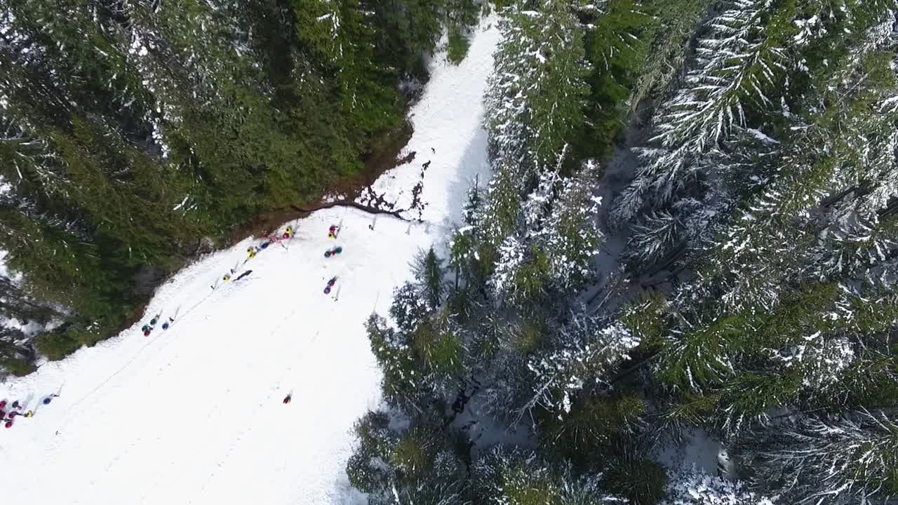 Vista aerea sopra persone che scendono con ciambelle gonfiabili lungo le pendici del Monte Hood.
