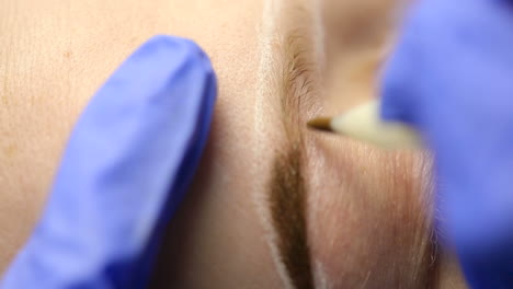 attractive lady getting facial care and eyebrow tattoo