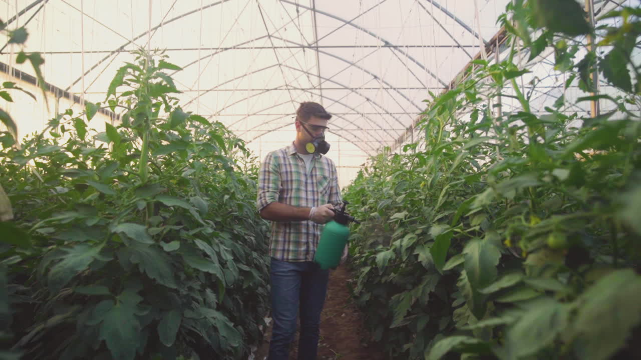 Farmer spraying pesticides in a greenhouse