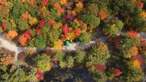 top-down filmische drone-opname vliegend boven boscontrolepost langs bospad uitgehouwen door kleurrijke bomen van de herfst, provinciaal park algonquin