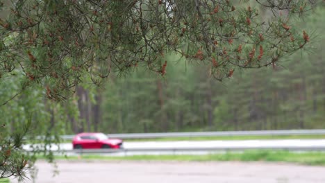 Statische-Aufnahme-Eines-Baumes-Am-Straßenrand-Im-Vordergrund,-Im-Hintergrund-Vorbeifahrende-Autos-Auf-Der-Autobahn