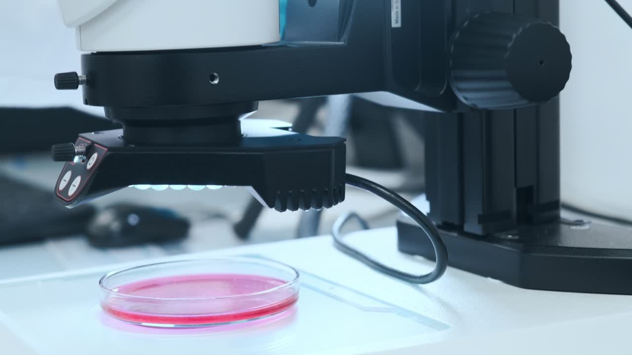el microscopio de laboratorio científico automatizado de primer plano baja para el examen de la muestra en la placa de petri