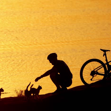 man with animals on coast