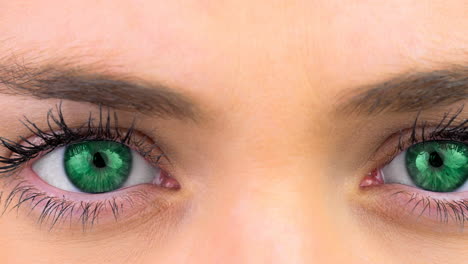 close up of female grey eyes against white background