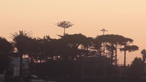 Atmosphäre-Der-Goldenen-Stunde-Mit-Bäumen,-Standort-Estoril,-Stadt-In-Der-Gemeinde-Cascais,-Portugal,-An-Der-Portugiesischen-Riviera