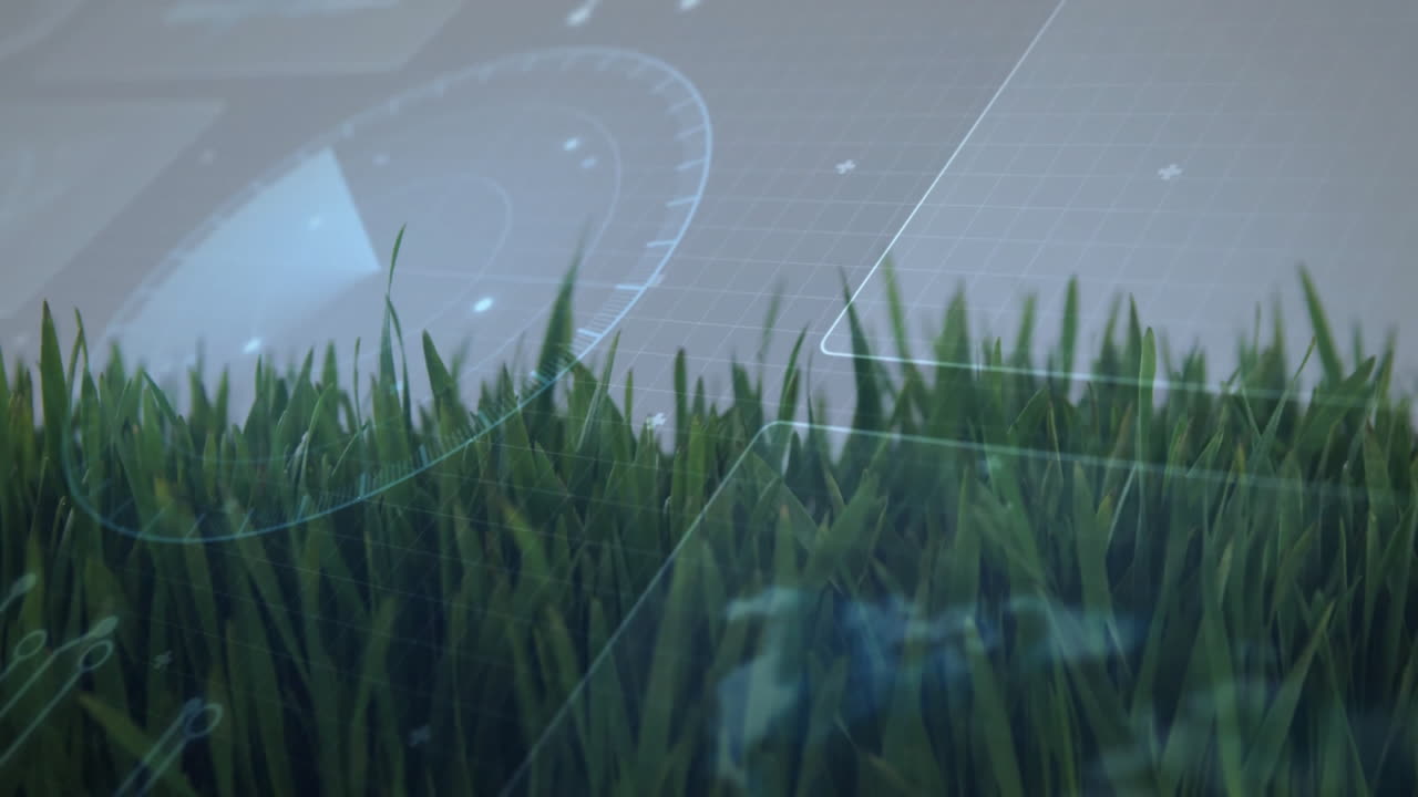 Green grass blades being visualized in flat design, with HUD overlays and circular radar graphic