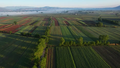 colorful squares: spring hues adorn sown parcels in a beautiful morning field with mountains in the background