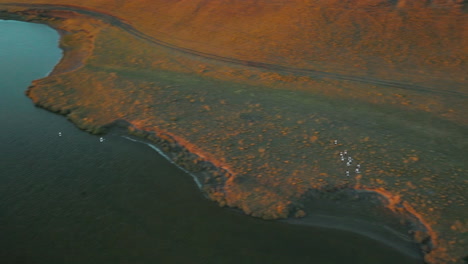 Gorgeous-drone-shot-following-a-flock-of-birds-flying-over-the-Rio-Grande-river-in-Argentina