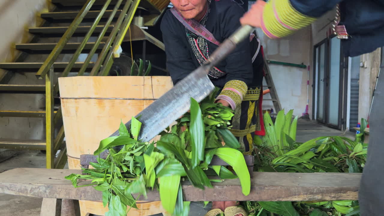 Women from the Black Dao community in Sa Pa skillfully chop fresh herbs on a wooden tool, showcasing their traditional knowledge and cultural practices surrounding herbal remedies.