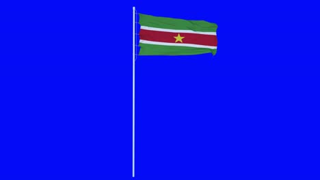 suriname flag waving on wind on blue screen or chroma key background. 4k animation