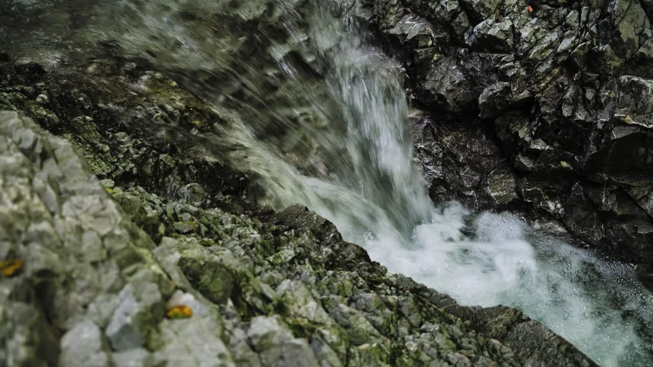 Ruscello d'acqua cristallina che scorre sulle rocce, freddo torrente fluviale della foresta che si infrange sulle pietre