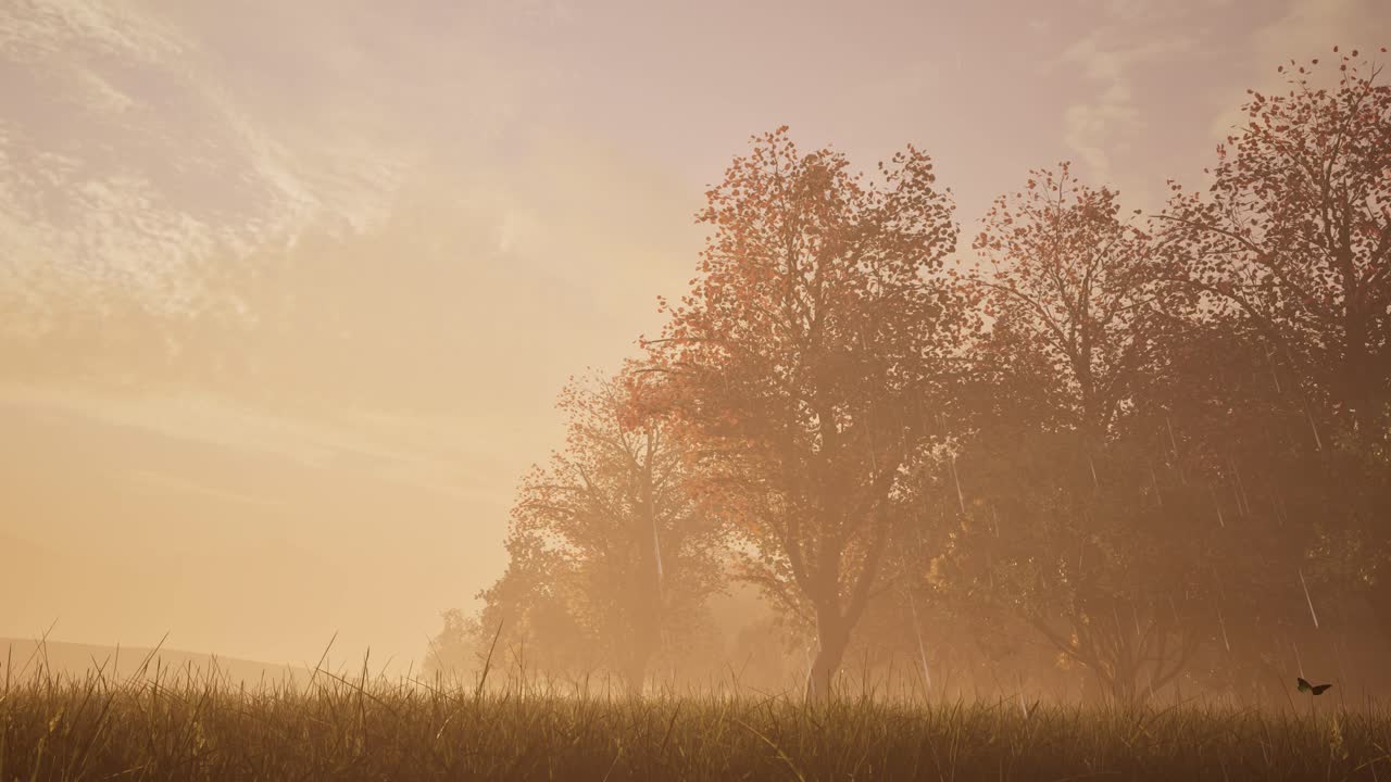 , 비가 내리고 나비가 날아가는 가을의 숲 개방 3d 애니메이션 정적 카메라