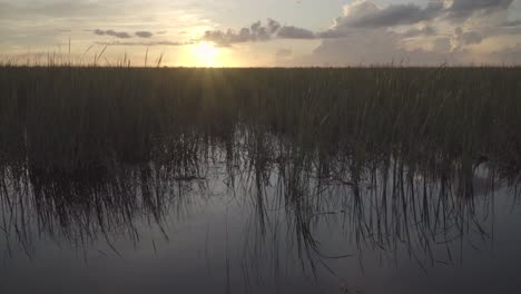 beautiful-south-florida-everglades-sunset-with-green-sawgrass-and-still-water