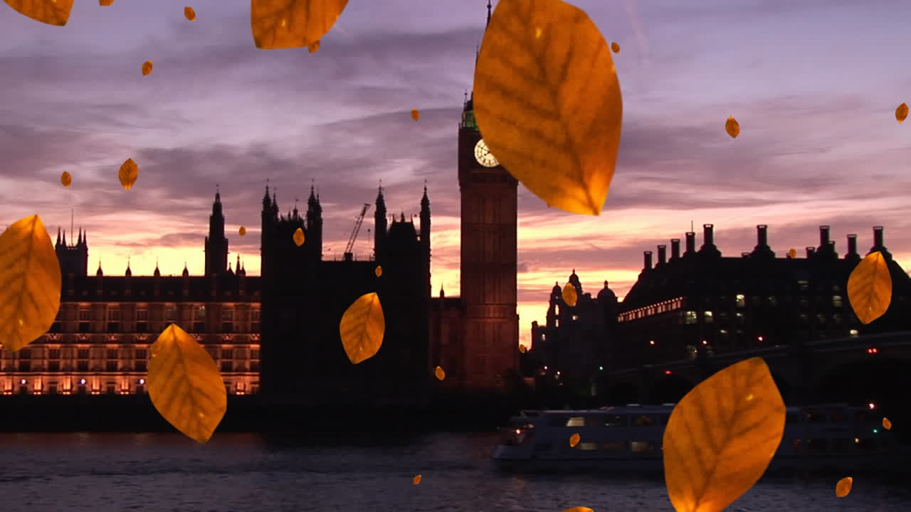 도시 풍경 위에 떨어지는 오렌지색 가을 잎의 애니메이션