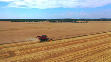 working rye harvester combine machines on gold wheat fields. harvesters on gold wheat fields. summer wheat harvesting. agricultural landscape ripe wheat harvesting