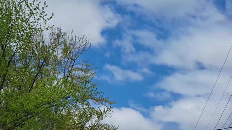 bright blue sky with slow moving white clouds