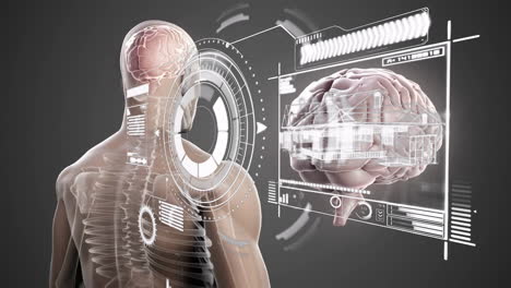 animation of human anatomy with digital brain interface in futuristic school setting