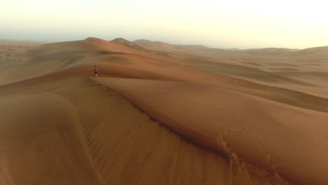 Vagando-Por-El-Desierto