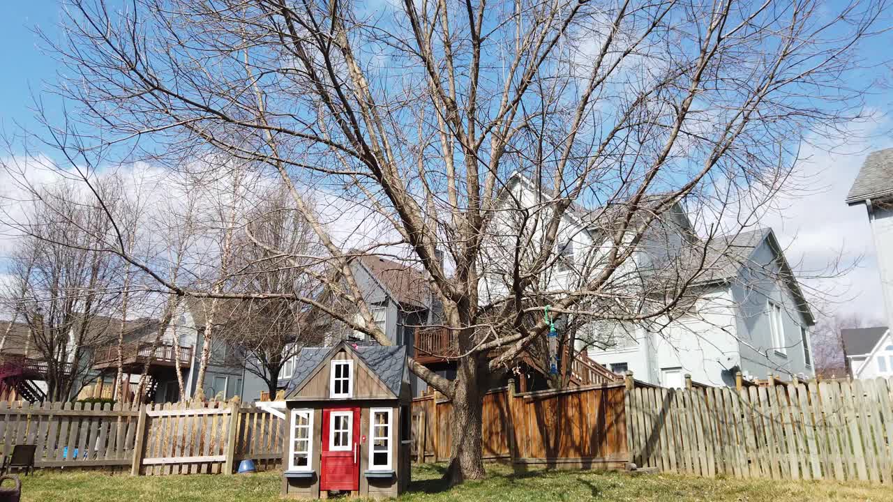 Small playhouse with red door in front of very windy tree with no leaves
