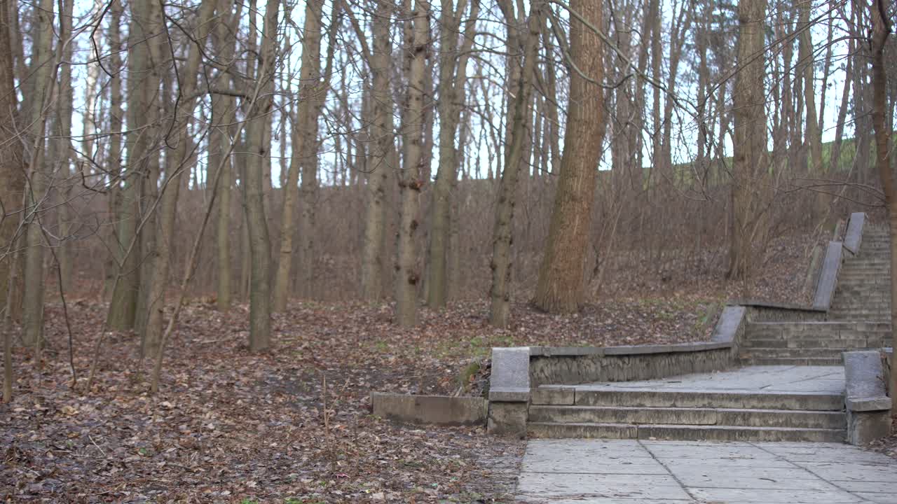 흐린 추운 날씨에 우울한 가을 공원, 가을의 우울한 페인트. 서리가 내리는 길의 숲