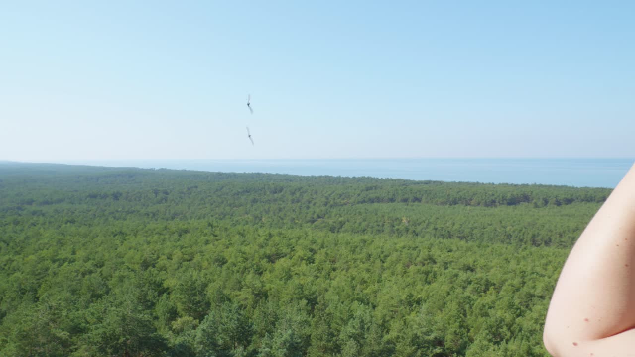 한 여인이 폴란드의 스로 (stilo) 에 있는 스로 등대 꼭대기에서 푸른 숲과 바다의 전망을 감상하면서 새들이 날아다니고 있다.