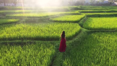 a woman wearing a red dress walking in rice terrace exploring cultural landscape on exotic vacation through bali indonesia