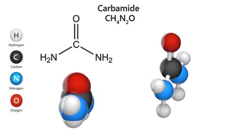 urea (carbamida). ch4n2o. bucle sin costuras.