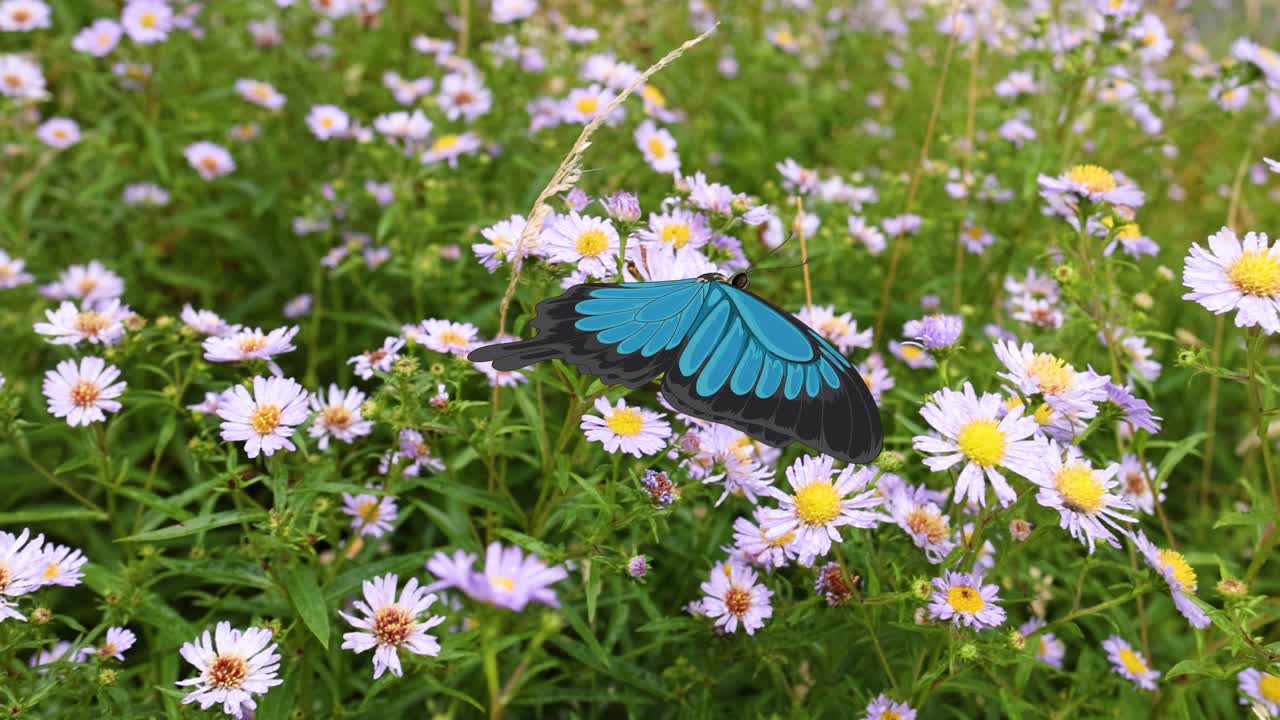 Una farfalla blu vibrante svolazza con grazia su un campo di fiori selvatici, creando un'atmosfera serena e vivace.