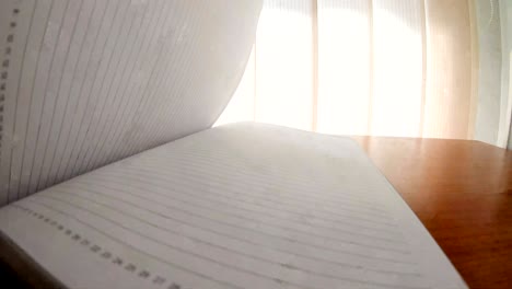 lista de páginas en blanco del cuaderno