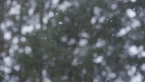 snow flurries floating in the air, slow motion shot