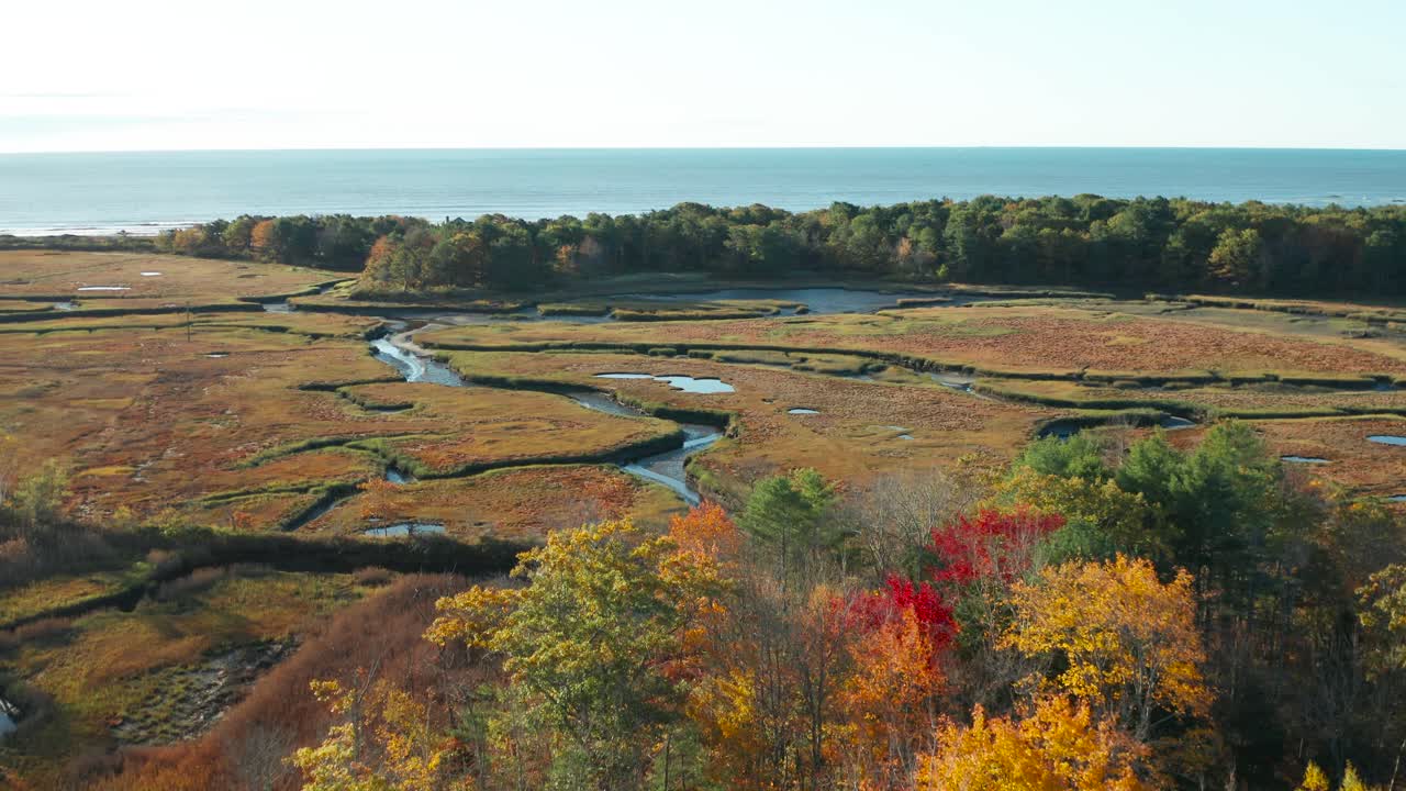 Flying above wetlands and woods in Maine in Fall